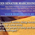 STAND UP FOR THE SECOND AMENDMENT BY STANDING WITH NEW YORK STATE SENATOR KATHLEEN MARCHIONE